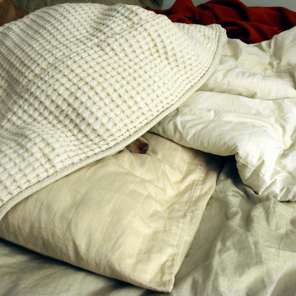 Flickr.com/Pile of blankets