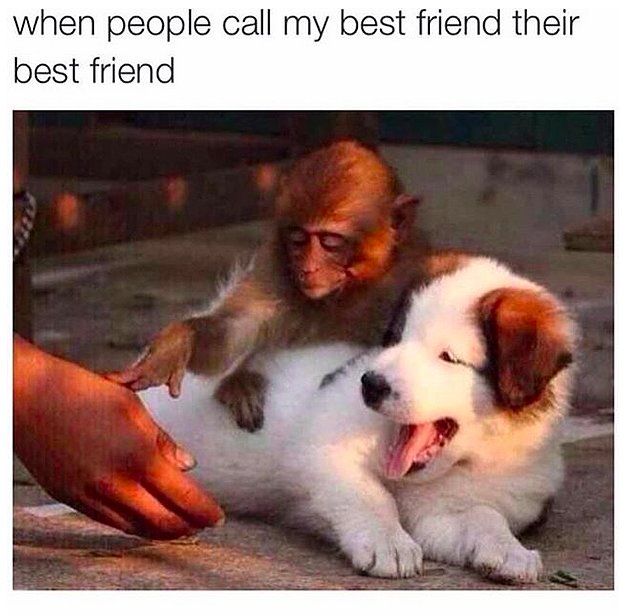 Why Is My Ex Trying To Befriend My Bestie? Why Is My Ex Trying To Befriend My Bestie?