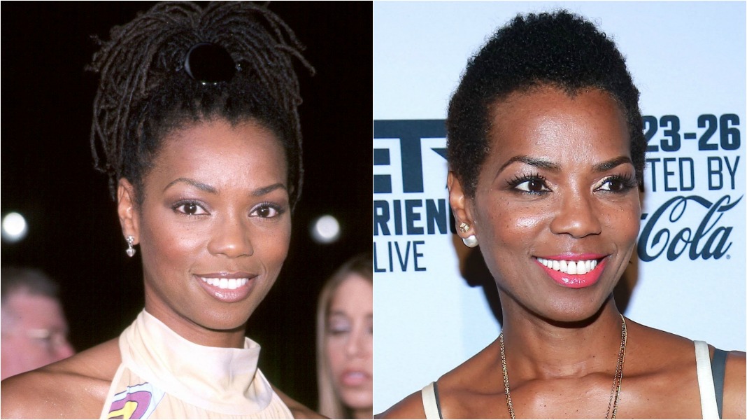 Vanessa Williams locs