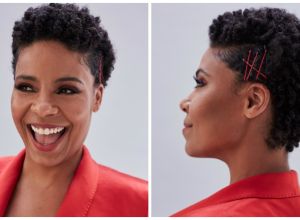 Sanaa Lathan Nappily Ever After