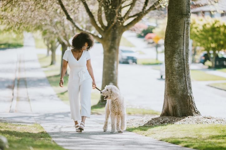 A Young Woman Taking Pet Poodle Dog For Walk