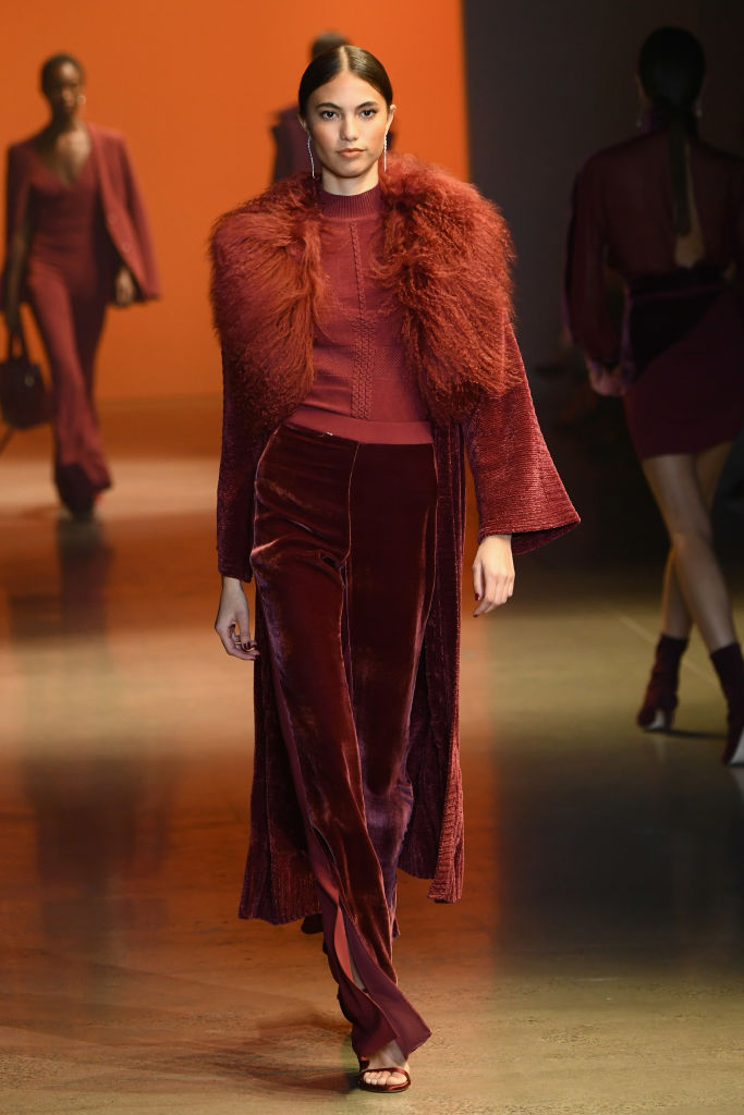 Cushnie - Runway - February 2019 - New York Fashion Week: The Shows