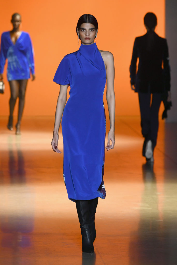 Cushnie - Runway - February 2019 - New York Fashion Week: The Shows