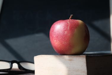 apple on book with blackboard. back to school concept