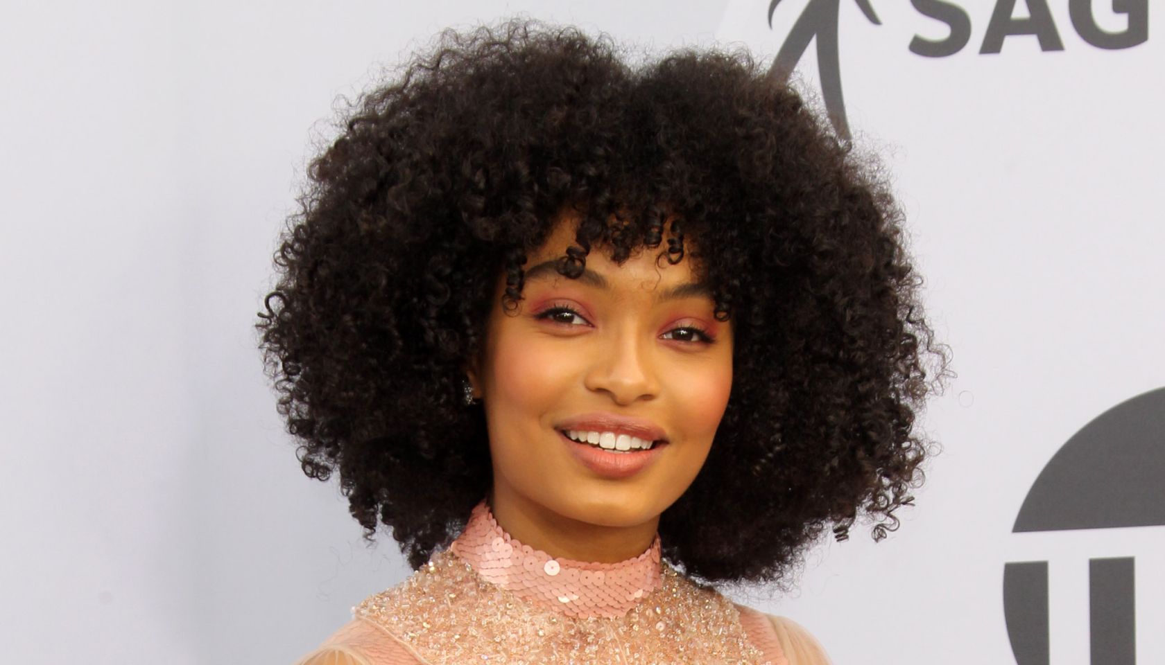 SAG Awards 2019 Arrivals