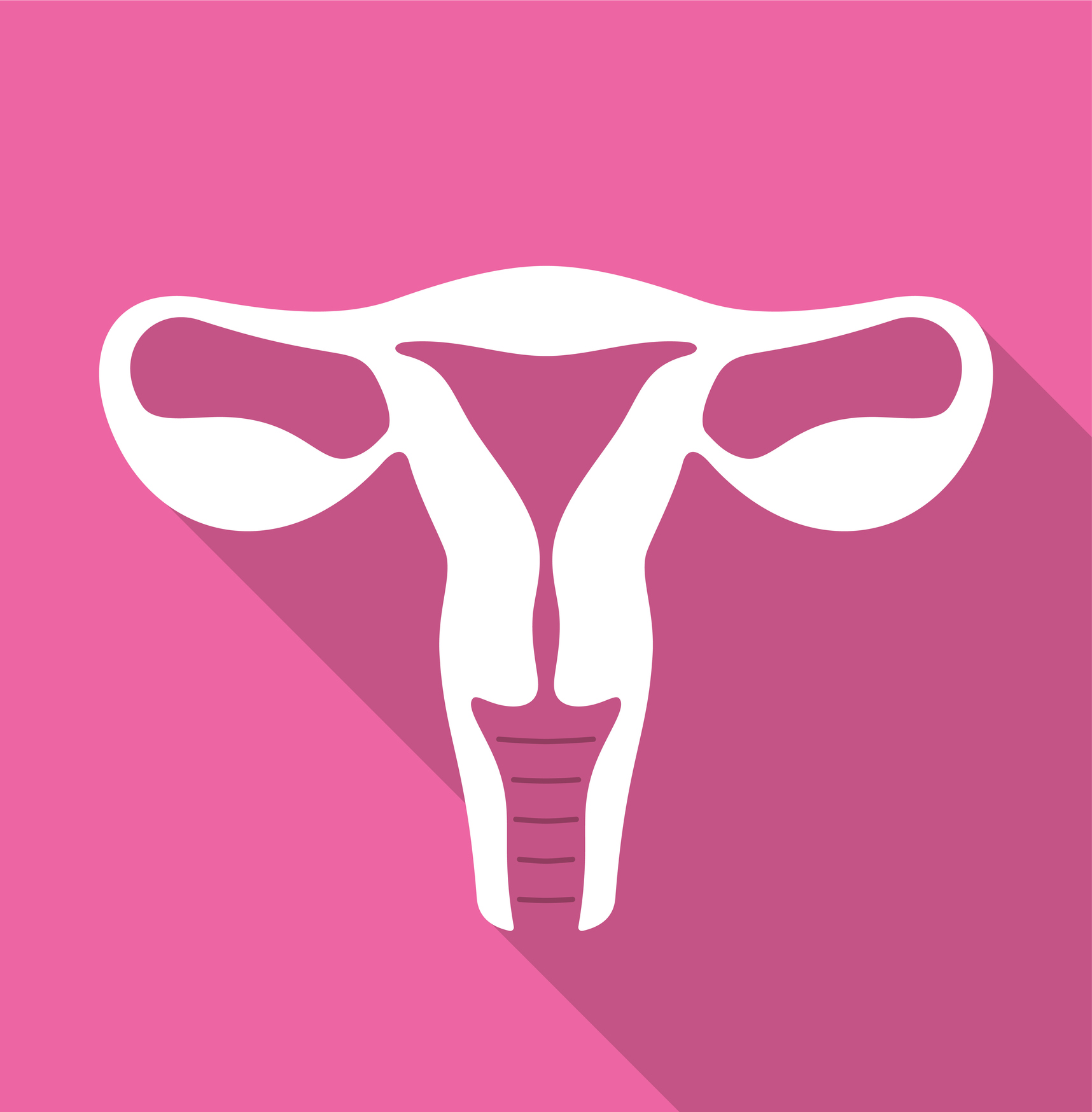 woman’s uterus icon, vector illustration