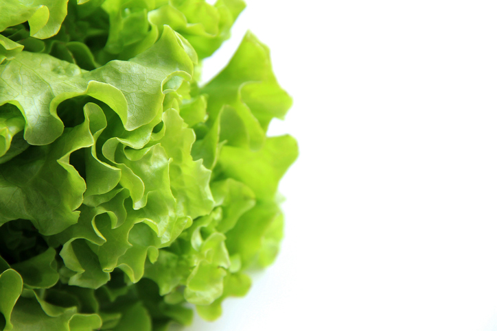 Leaves of appetizing lettuce on white background. Copy space.