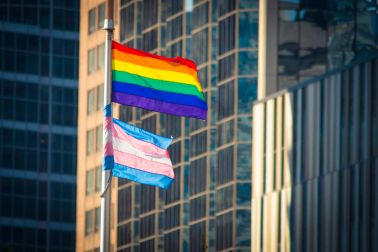 Pride Flag and Trans Flag