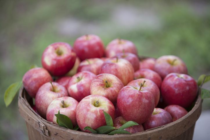 wasting food causes