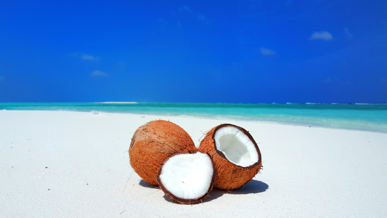 Coconuts on the topical beach with turquoise water background