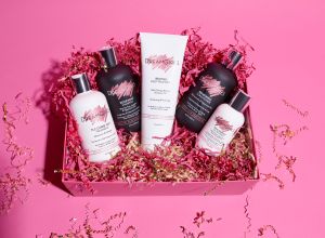 DreamGirls Five Step Haircare System