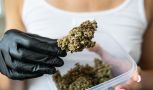 Midsection Of Woman Holding Medical Cannabis And Container