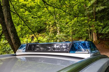 Police in the forest
