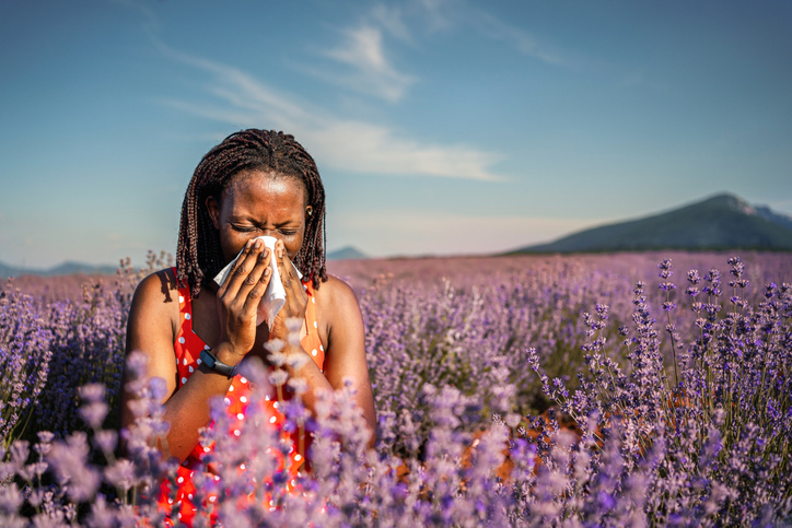 Beautiful black woman sneezing in a lavender field