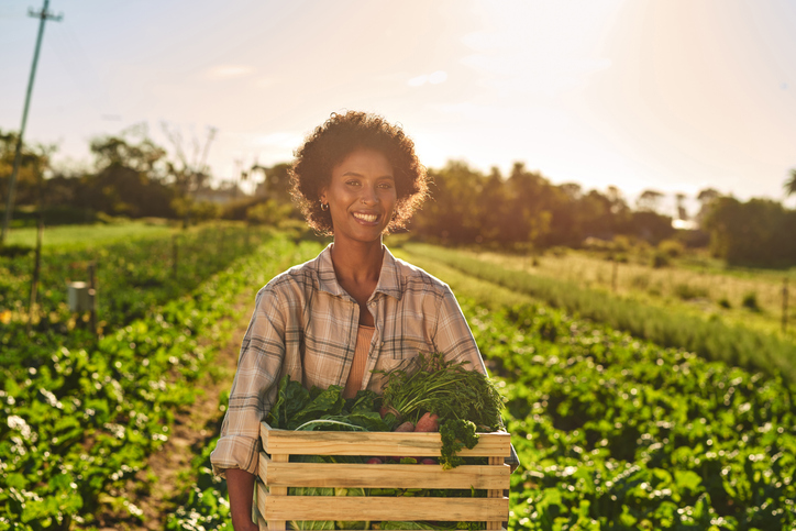 Shot of a young woman carrying a crate full of freshly picked vegetables while working on a farm