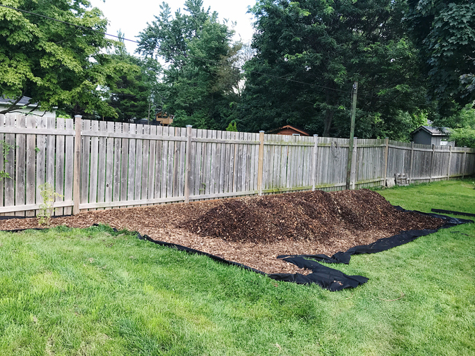 Pile Of Mulch On Yard Against Trees