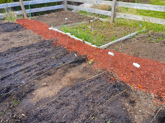 Laying out a garden