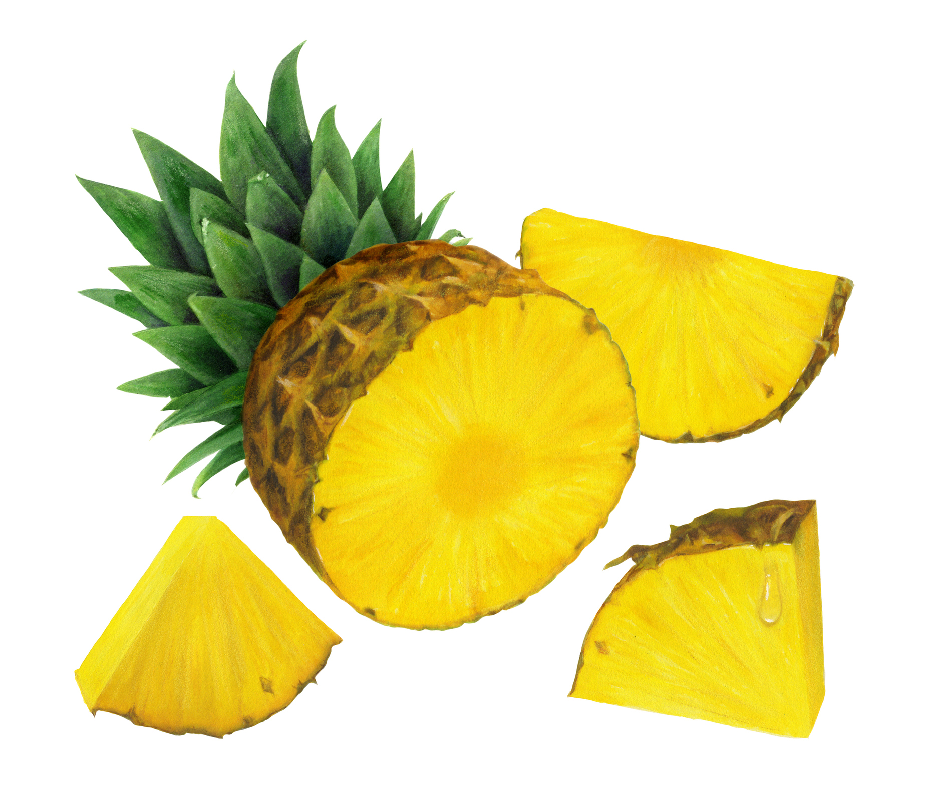 Pineapple Half and Wedge