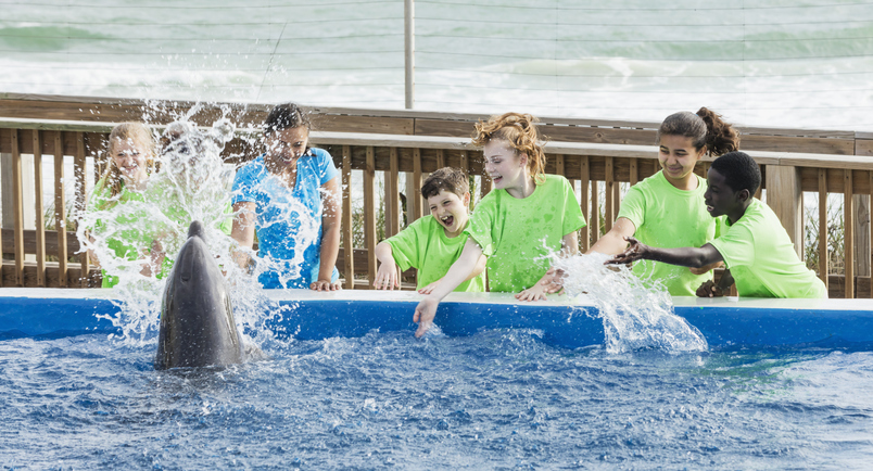 Children, teacher at marine park, dolphin splashing