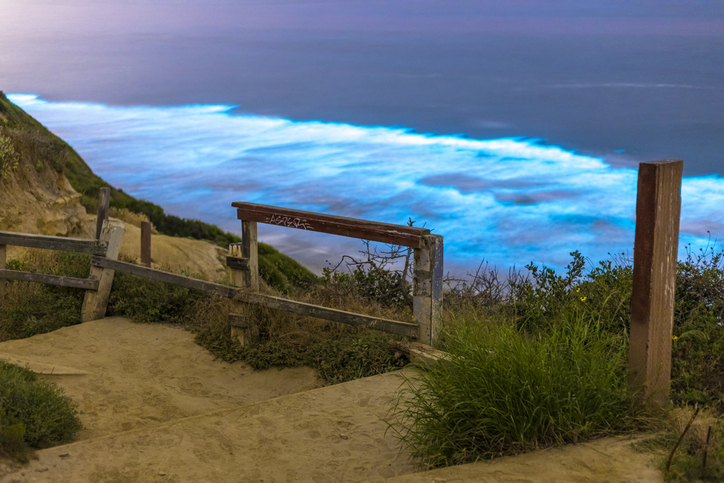 Bioluminescent red tide makes the waves glow at Black's Beach in San Diego County.