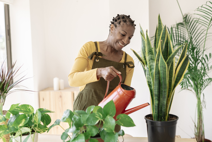 A happy woman watering a houseplant in the living room with a watering can