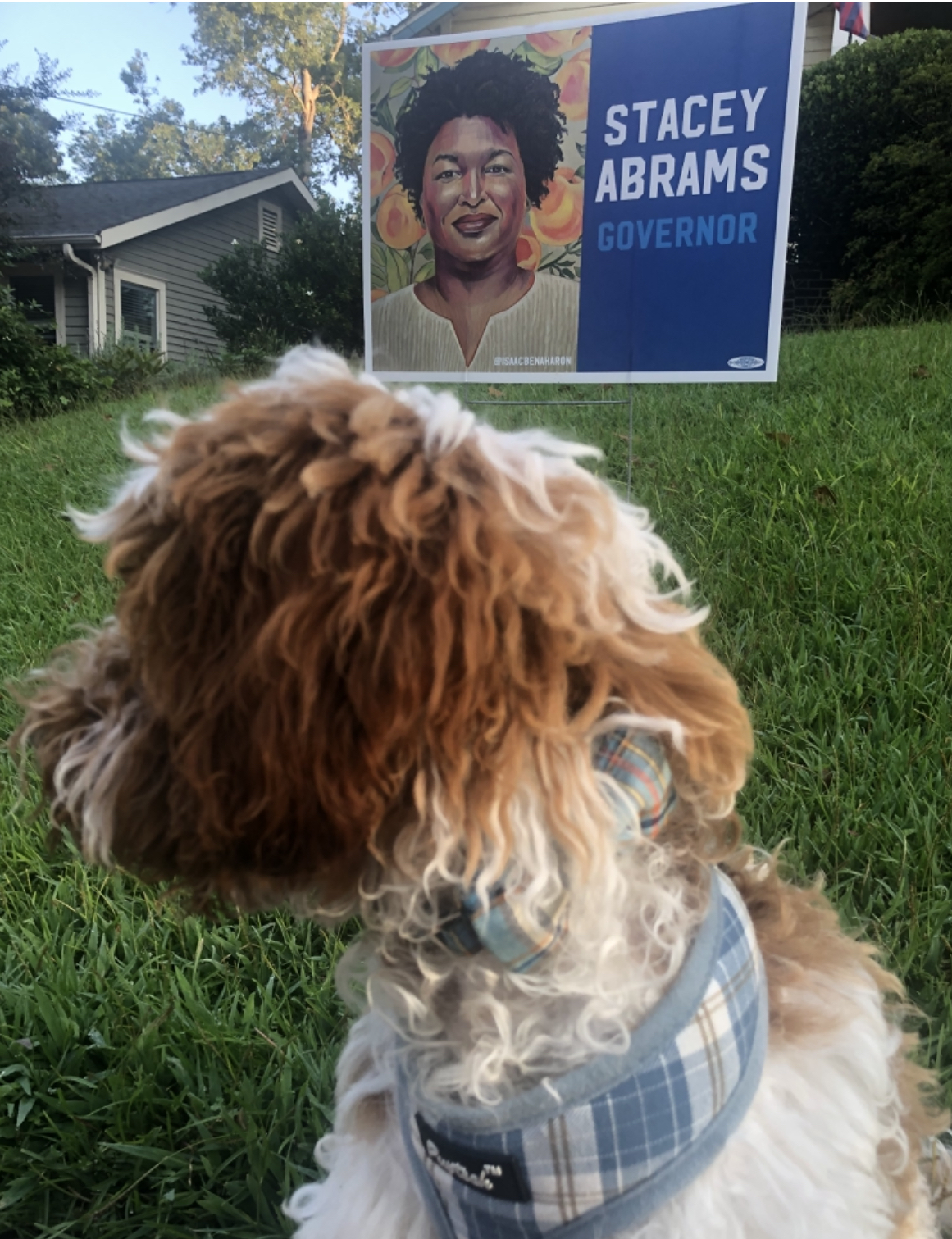 Franklin and Stacey Abrams signage