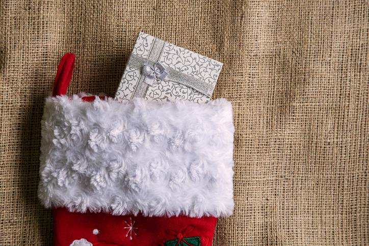 Dallas Inkk, Siya, Stanley Cup, Texas, Christmas, Instagram, Social Media,