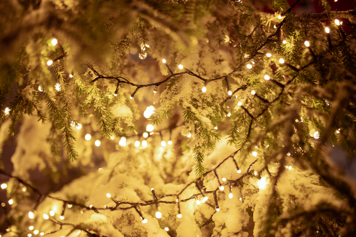 New Year's magic! Illuminated Christmas tree