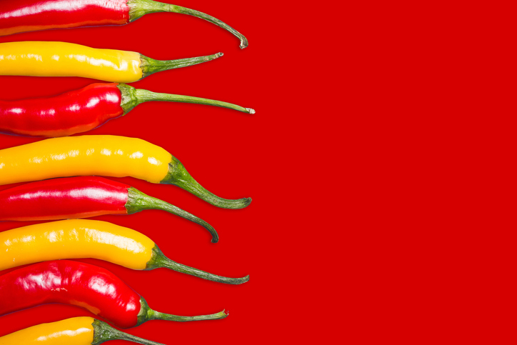 Red and yellow chili peppers isolated. Vibrant color chili pepper. Hot spicy food ingredient. Empty copy space vegetable background.