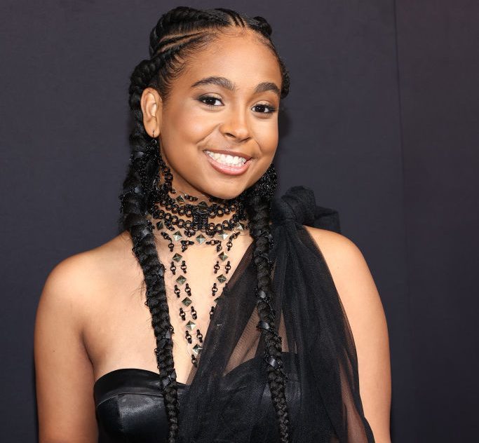 BMF Season 2 Los Angeles Premiere Event