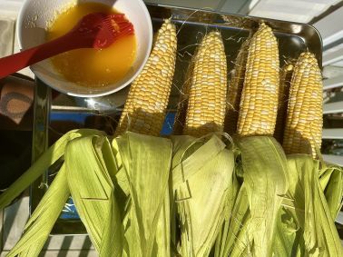 Four whole corn on the cob with husks pulled back, displayed before grilling, alongside a bowl of melted butter.  They will be served alongside grilled lobster tails.