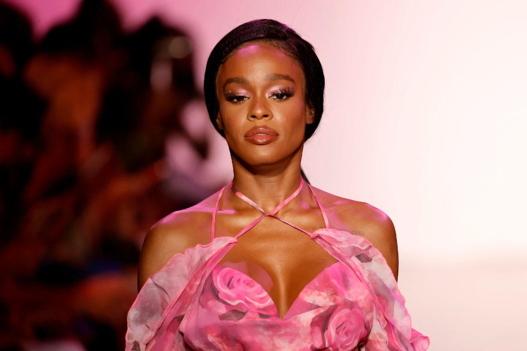 Azealia Banks, Beyonce, B-Day, Instagram, Renaissance, Blue Ivy,