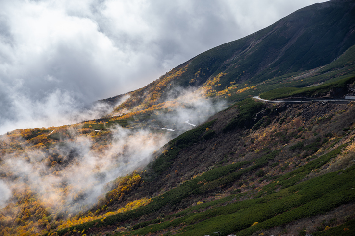 The road leading to Mt. Norikura through the autumnal forest