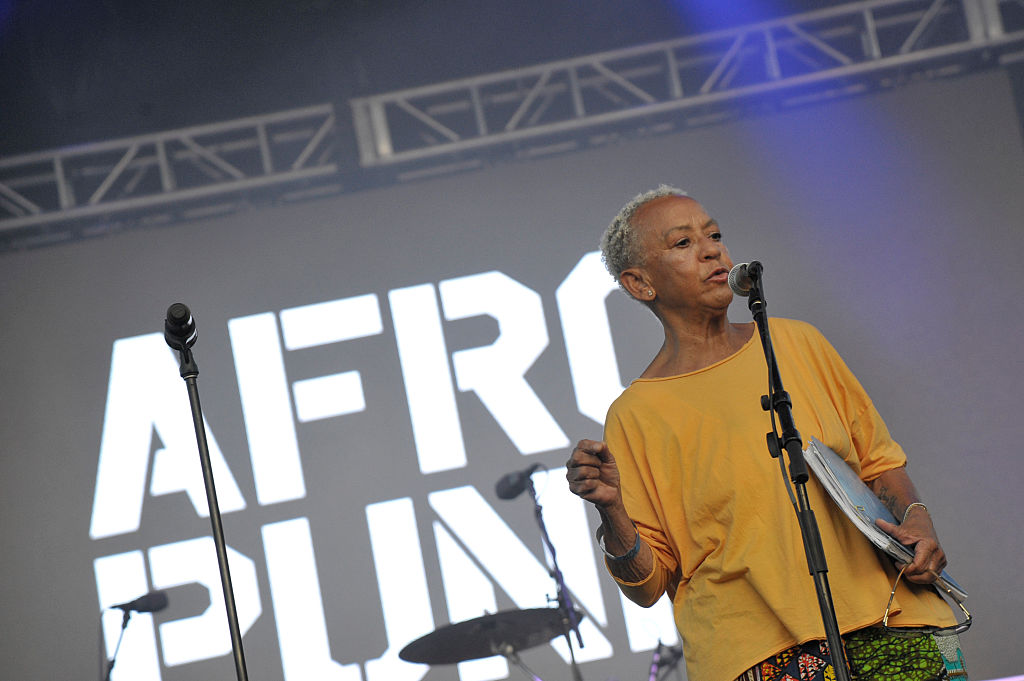 12th Annual Afropunk Brooklyn Festival