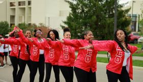 Delta Sigma Theta sorority, Los Angeles, wildfires, donations, Farwest