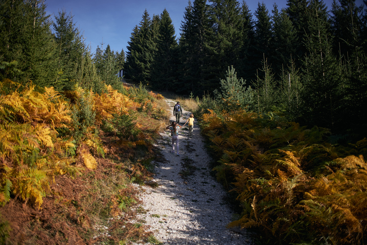 Enjoyable morning at the mountain