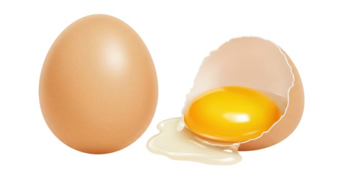 Isolated Cracked Open Egg Yolk Dripping
