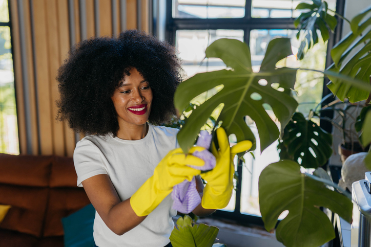 A woman takes care of the plants