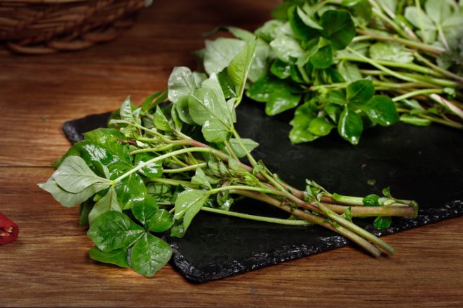 Fresh Green Watercress with Water Droplets on Black Slate