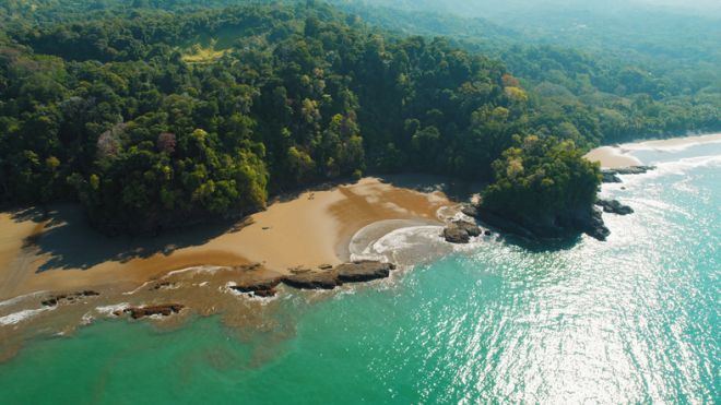 Aerial view of a secluded rainforest bay in Costa Rica in dry season on sunny day