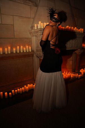 The Fine Wine Series, A Fine Affair: The Winter Masquerade Ball