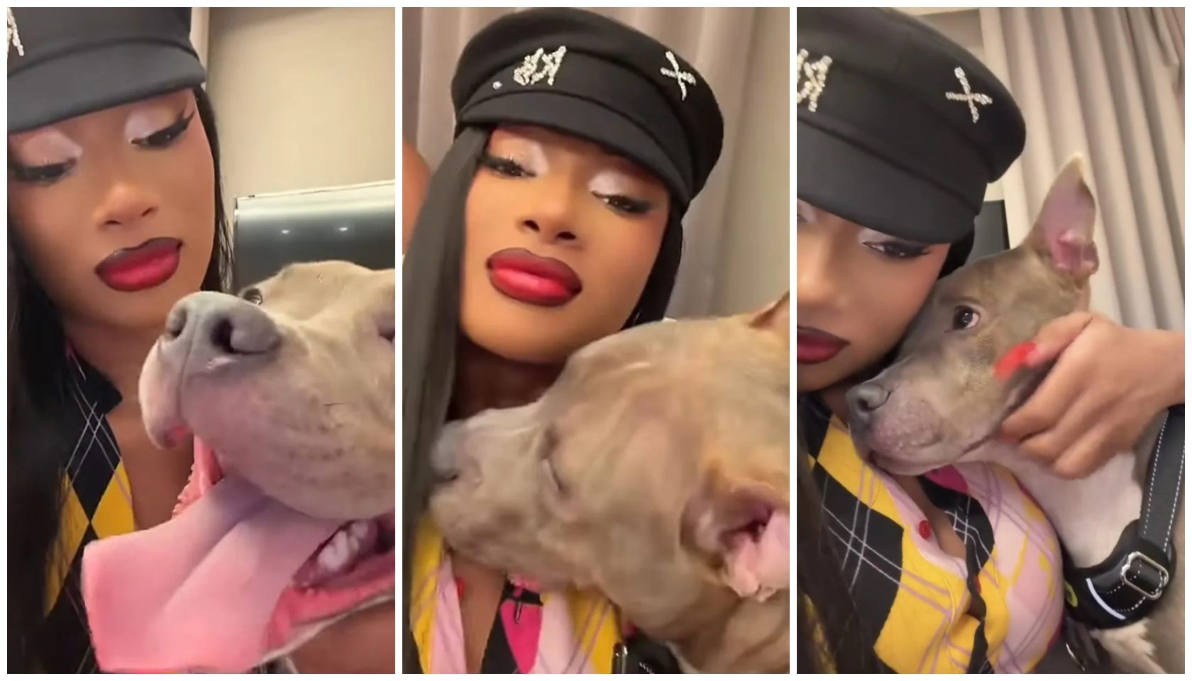 Megan Thee Stallion Rescues Pup Tyger From Kill Shelter Megan Thee Stallion Rescues Pup Tyger From Kill Shelter