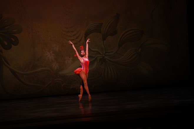 Dance Theatre of Harlem 2026 Vision Gala