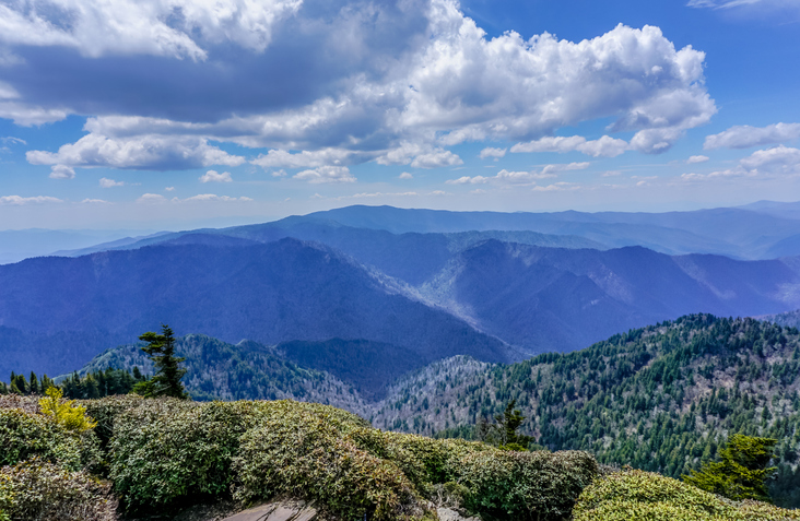 The mountains are covered in trees and the sky is blue