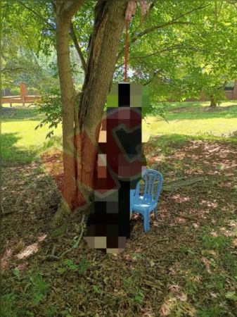 A colorful abstract sculpture made of painted wood pieces attached to a tree trunk in a lush, green park setting.