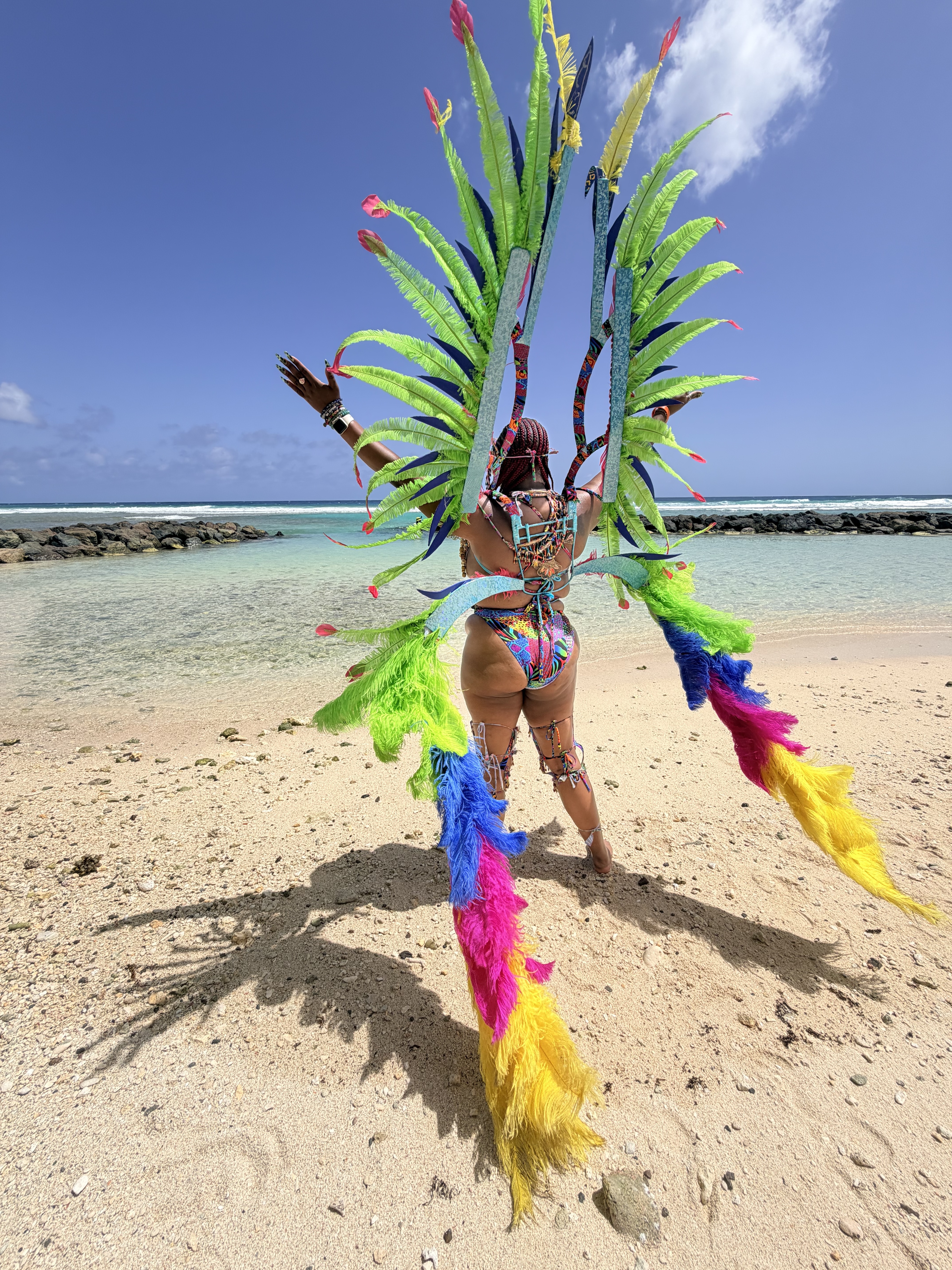 A person wearing a colorful, feathered costume stands on a beach with a turquoise ocean in the background.