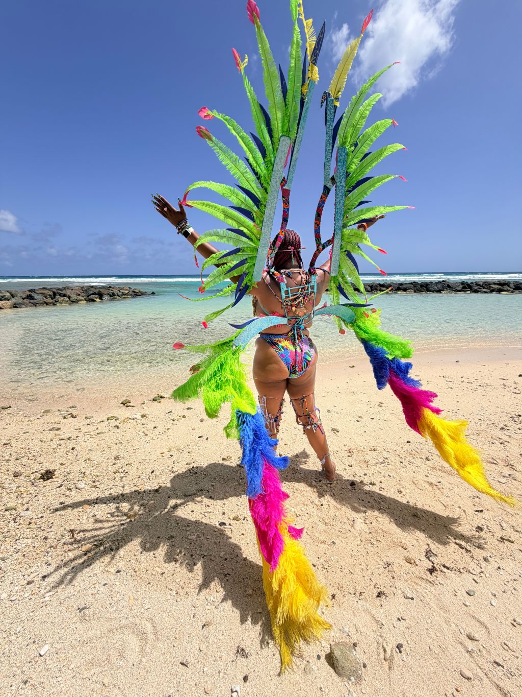 A person wearing a colorful, feathered costume stands on a beach with a turquoise ocean in the background.