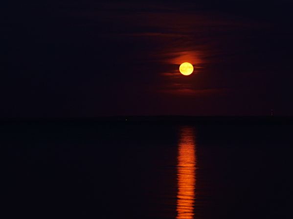 Strawberry Moon, Strawberry Moon 2026