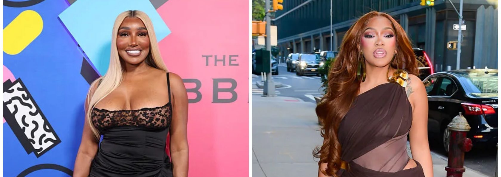 ‘If You Wanted My Leftovers, You Should’ve Asked For A Plate’ — NeNe Leakes Reads Drew Sidora For Filth Over Former Boo