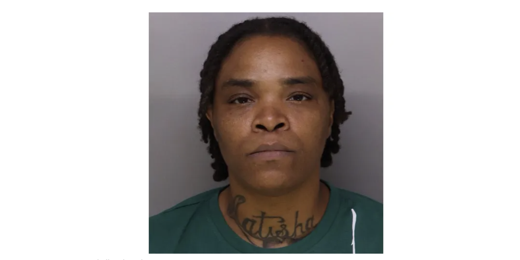 ‘Die. The Clock Is Ticking.’ — Ohio Woman Accused Of Making 29 Bomb Threats To Ohio Officials Amid Nolan Wells Investigation